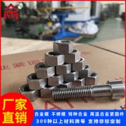 不锈钢螺丝母组合